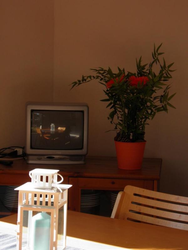 Maremmare Tuscany Apartments Principina a Mare Luaran gambar