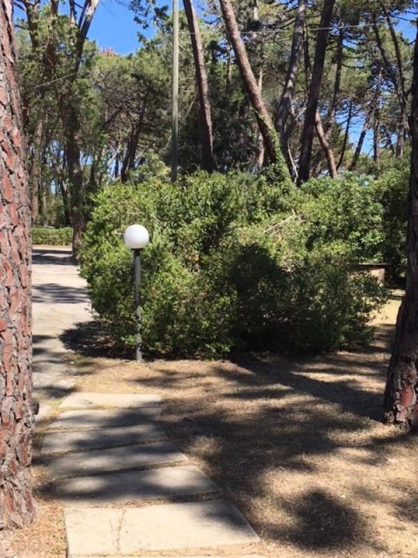 Maremmare Tuscany Apartments Principina a Mare Luaran gambar